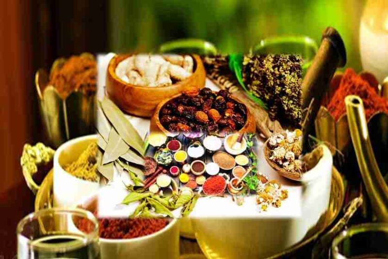 Tapovan Ayurveda Ashram / তপোবন আয়ুর্বেদ আশ্রম